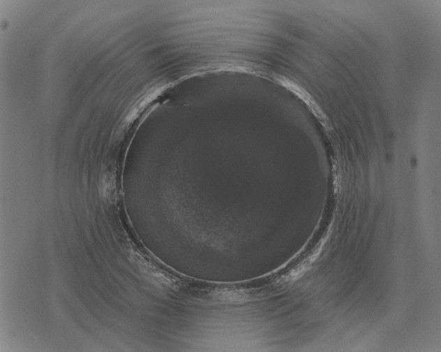 X0000076080977200610061612