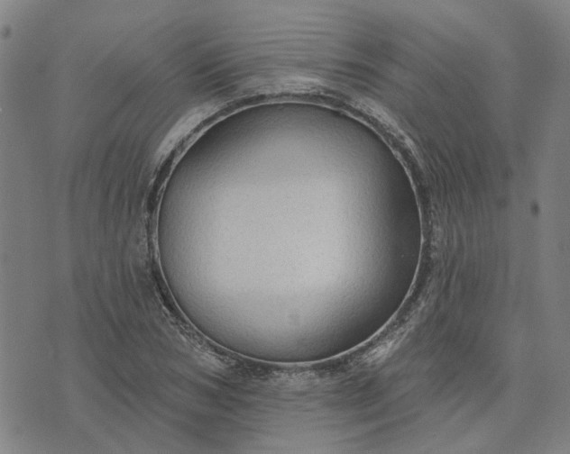 X0000076080978200610061612