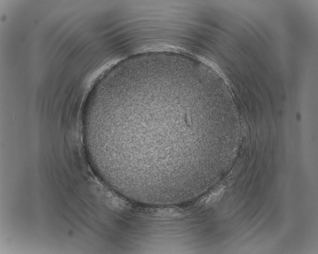 X0000076080979200610061612