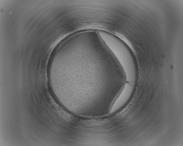 X0000076080980200610061612