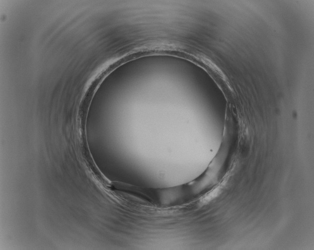 X0000076080981200610061612