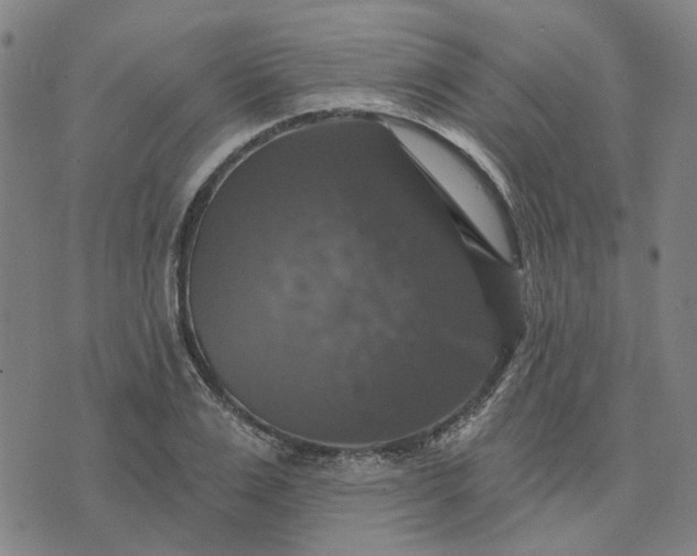 X0000076080983200610061612