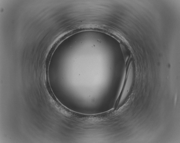 X0000076080984200610061612