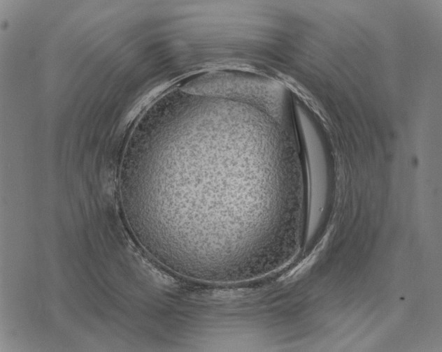 X0000076080985200610061611