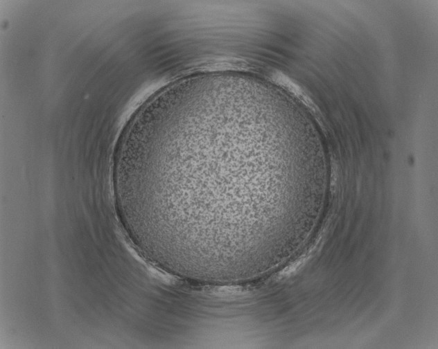 X0000076080986200610061611