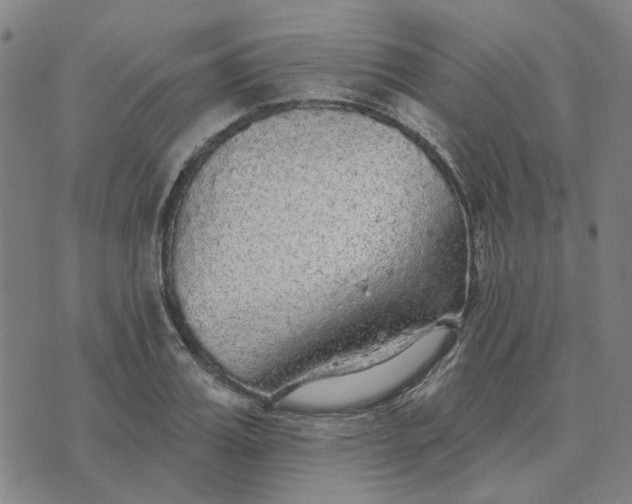 X0000076080987200610061611