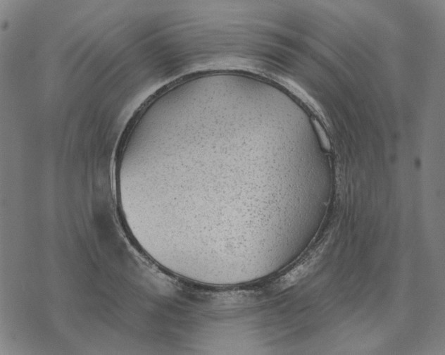 X0000076080988200610061611