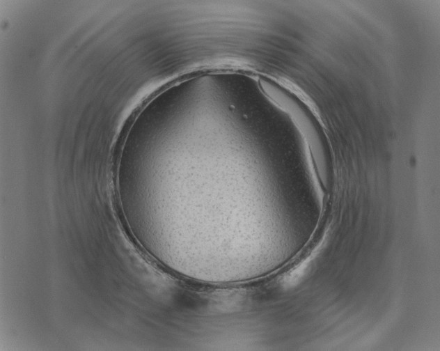 X0000076080989200610061611