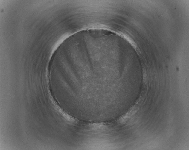 X0000076080990200610061611