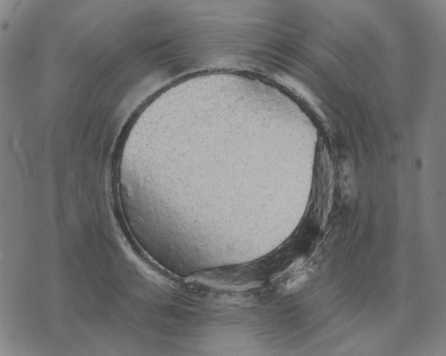 X0000076080991200610061611