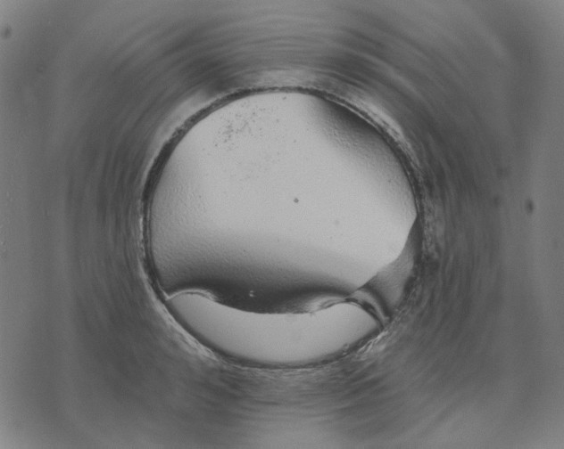 X0000076080992200610061611