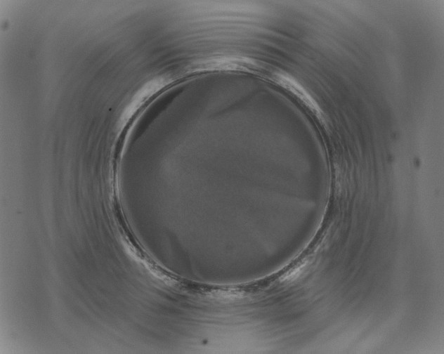 X0000076080994200610061611