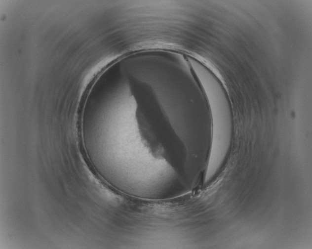 X0000076080995200610061611