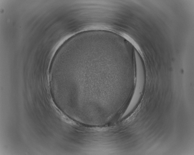 X0000076080996200610061611