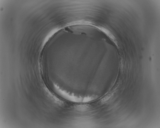 X0000076080998200610061611