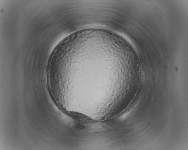 X0000076080999200610061611