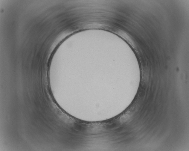 X0000076081000200610061611