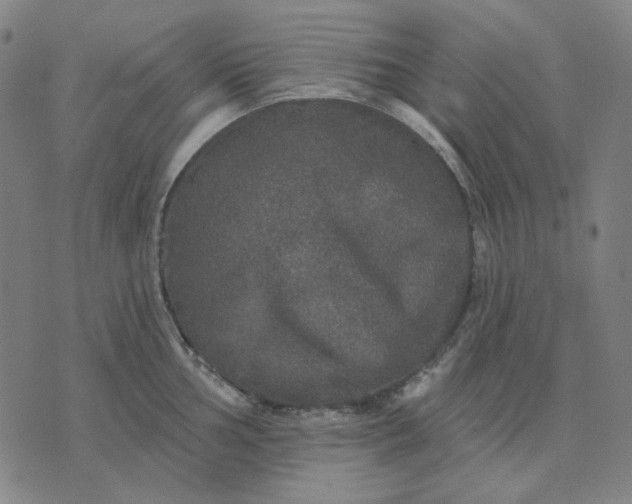 X0000076081002200610061611