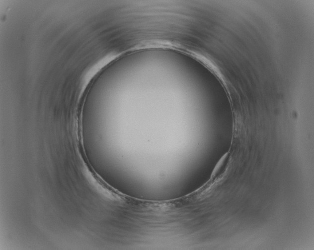 X0000076081003200610061611