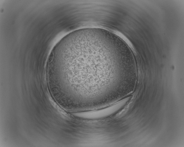 X0000076081004200610061611