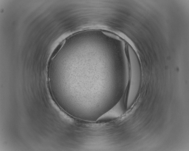 X0000076081005200610061611