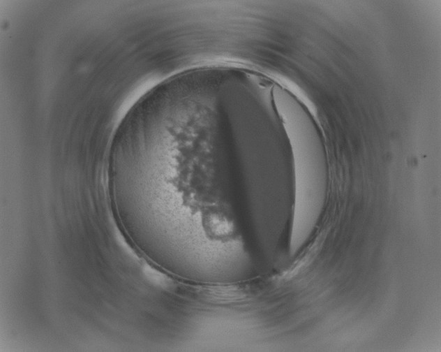 X0000076081007200610061611