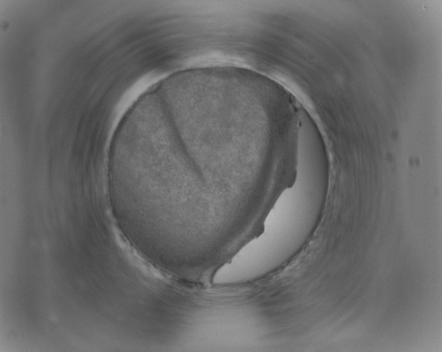 X0000076081008200610061611