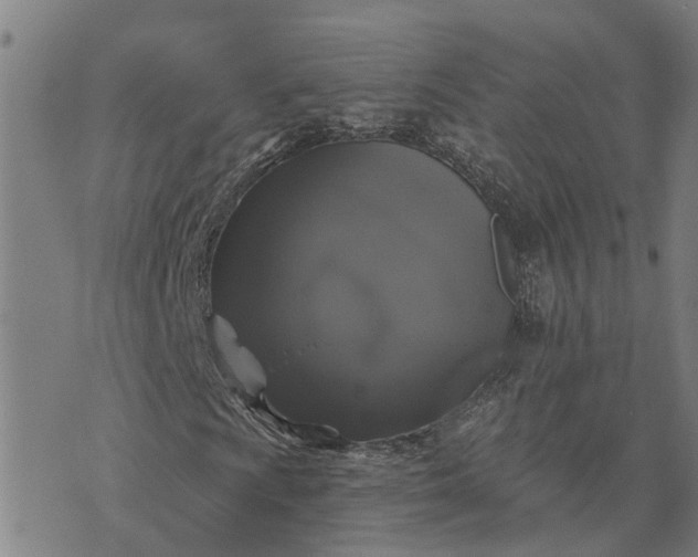 X0000076081009200610061610