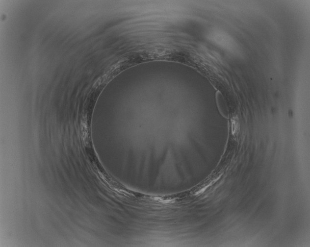 X0000076081011200610061610