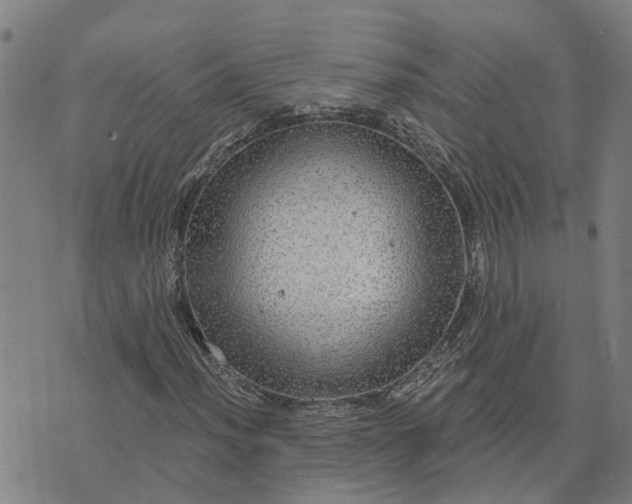 X0000076081012200610061610