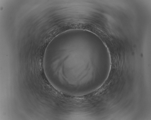 X0000076081013200610061610