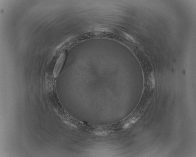 X0000076081014200610061610