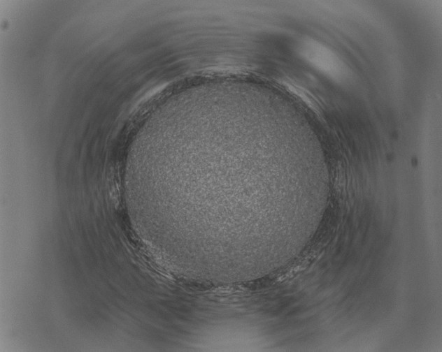 X0000076081015200610061610