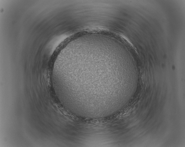 X0000076081016200610061610