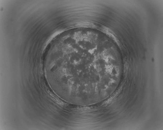 X0000076081019200610061610