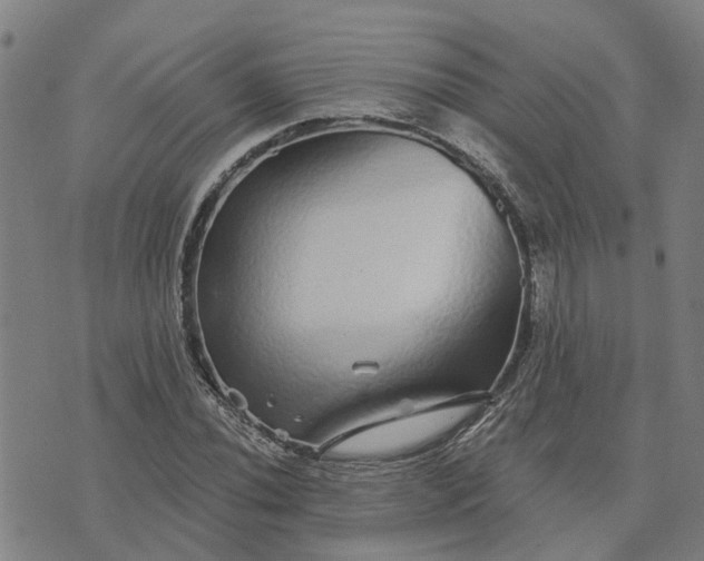 X0000076081020200610061611