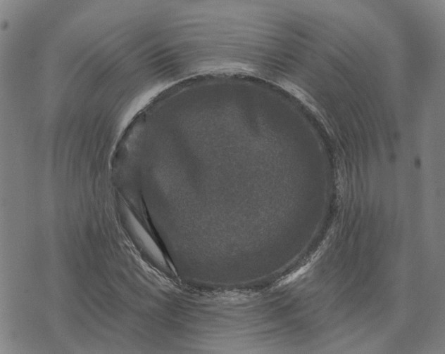 X0000076081022200610061611