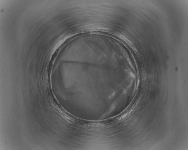 X0000076081023200610061611