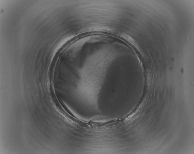 X0000076081024200610061611