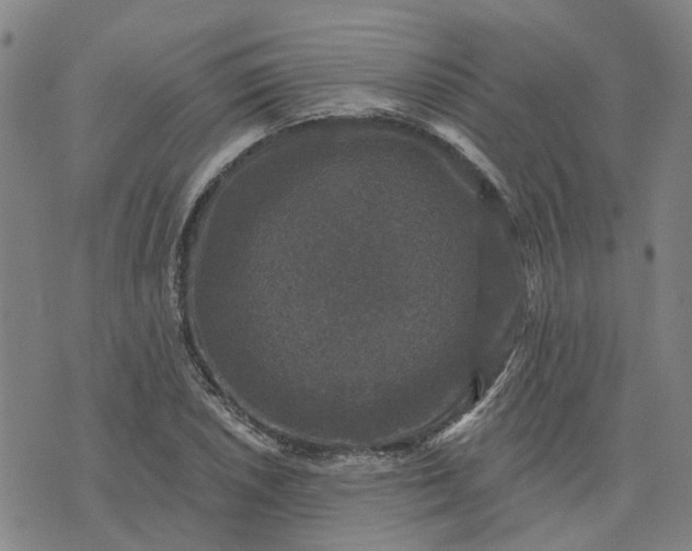 X0000076081026200610061611