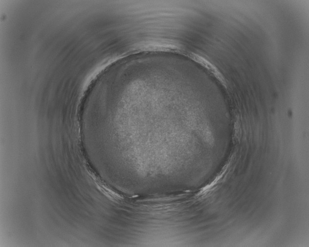 X0000076081027200610061611