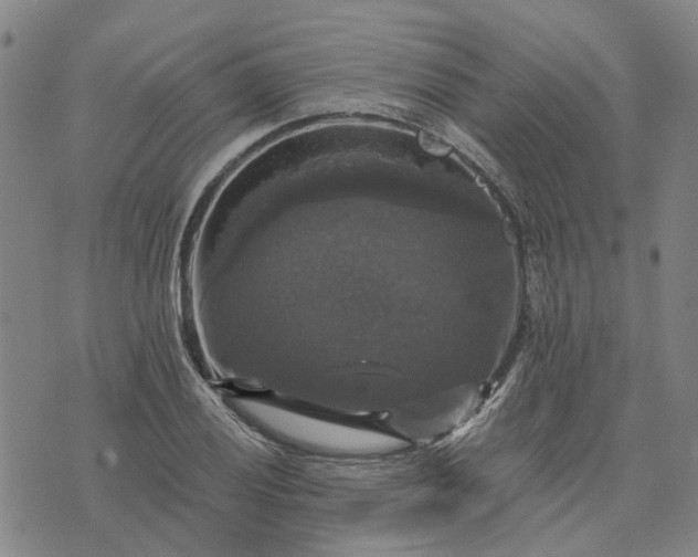 X0000076081028200610061611