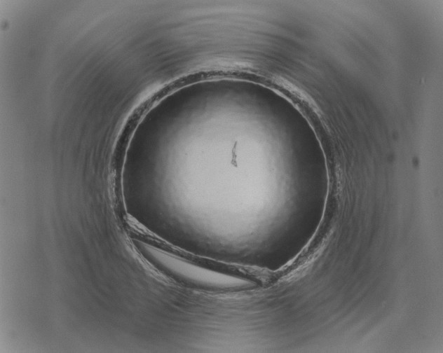 X0000076081029200610061611