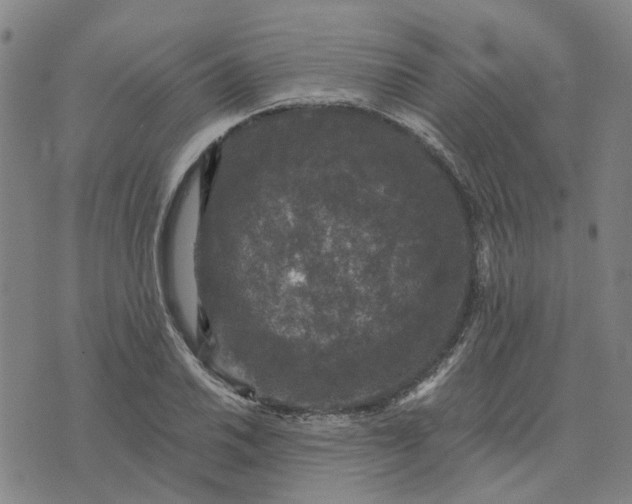 X0000076081030200610061611