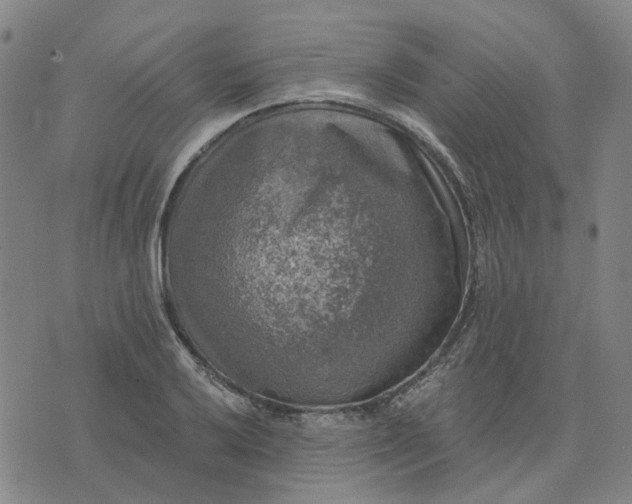 X0000076081032200610061611