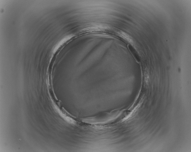 X0000076081034200610061611