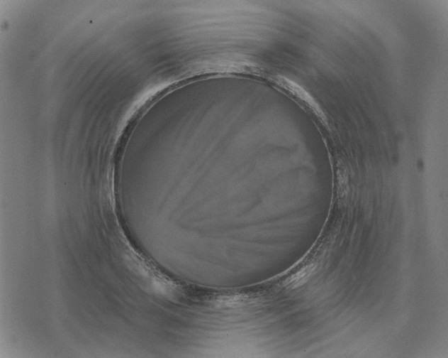 X0000076081035200610061611