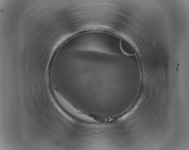 X0000076081037200610061611