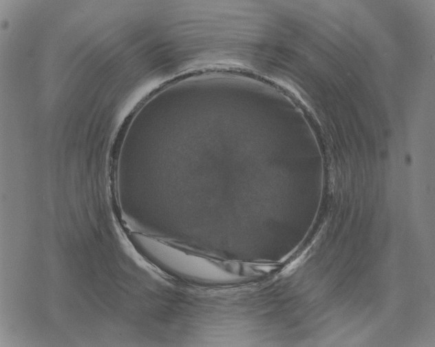 X0000076081038200610061611