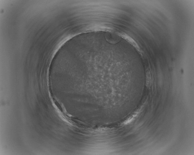 X0000076081039200610061611